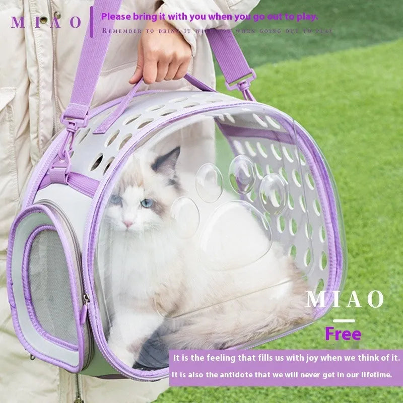 Transparent EVA cat backpack carrier in space capsule design showing interior space