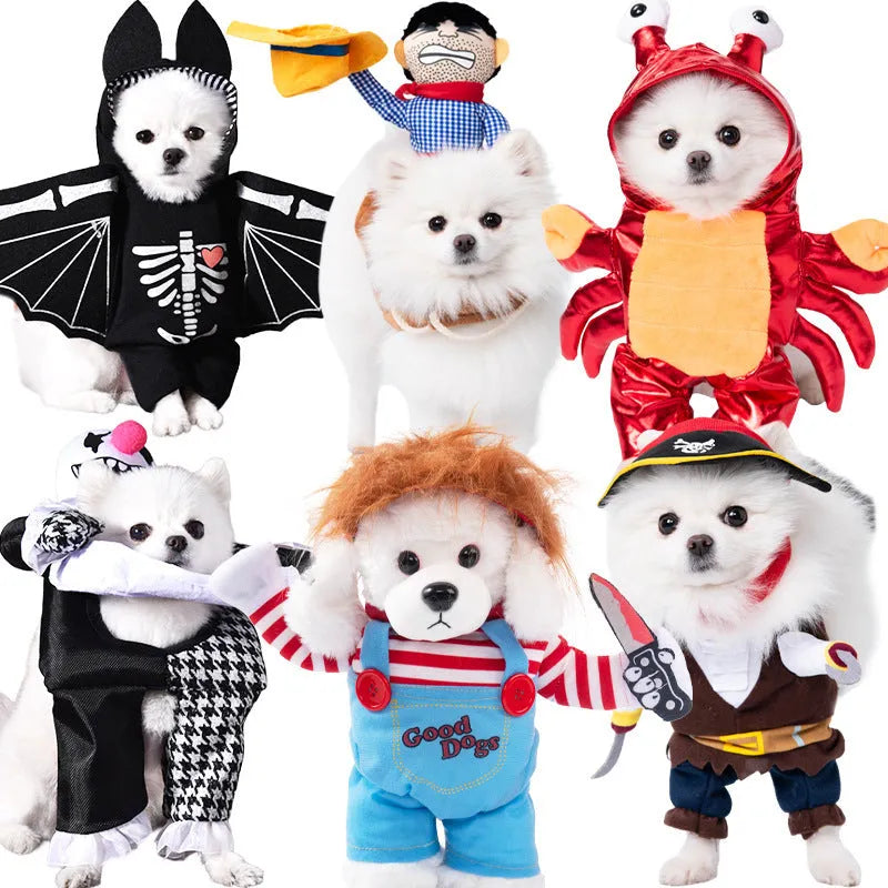 Halloween dog costume collection showing bat suit, devil costume, pumpkin pack and space clothing designs