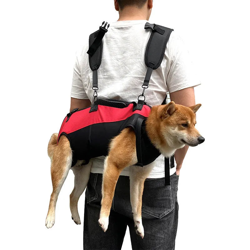 Multifunctional oxford cloth pet backpack with stretcher function in black with blue accents