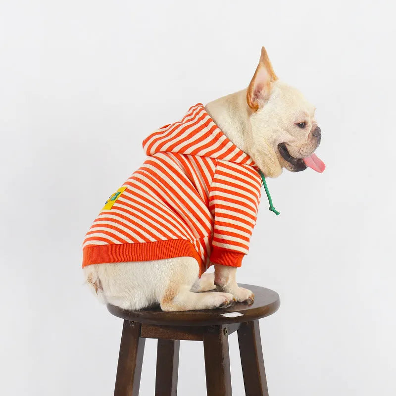 Orange cotton hooded sweater for dogs with Japanese style design