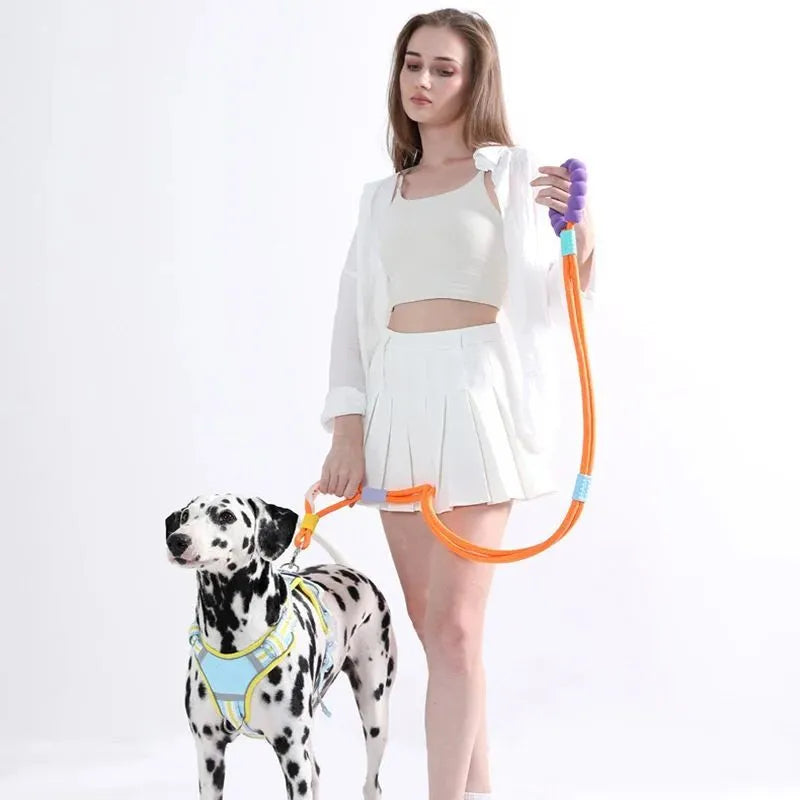 140cm nylon dog leash with anti-slip foam handle in four colour options