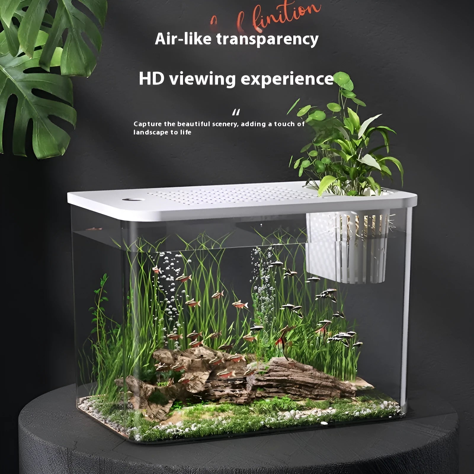 Small black plastic betta fish tank with lid, dimensions 32cm by 18.5cm by 23cm.