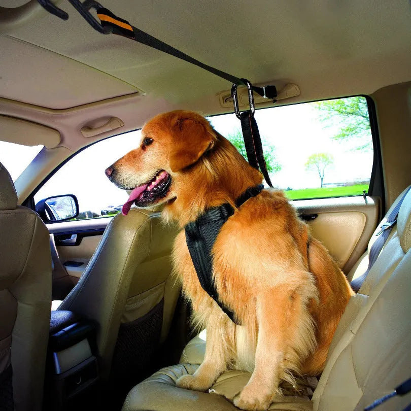 Orange nylon pet safety belt dual-purpose car lanyard with clip, for small to medium dogs