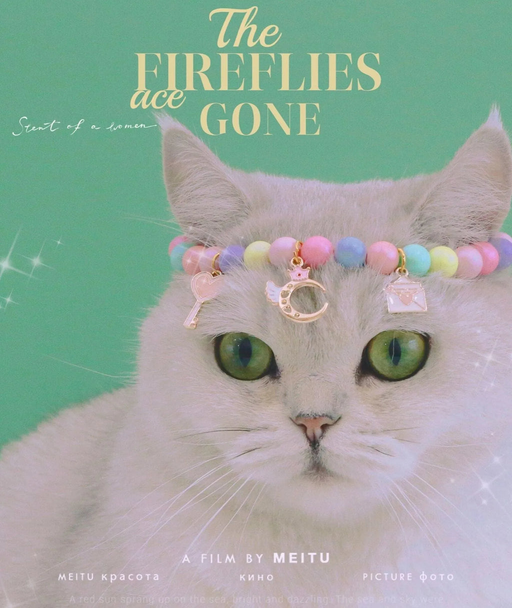 Colourful resin pearl collar and bracelet set for a small dog, shown in a macaron colour option.