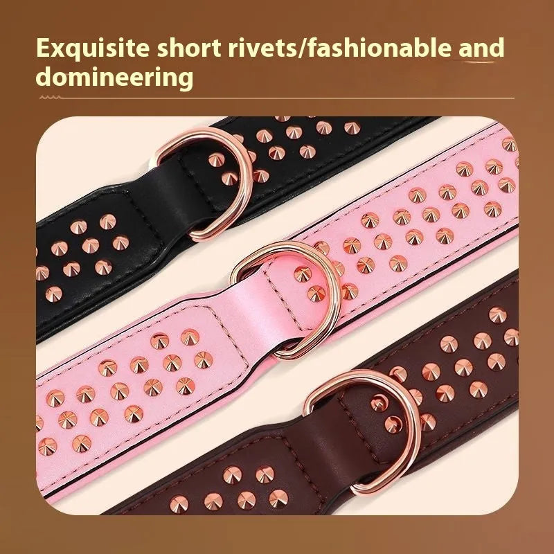 A leather dog collar with metal rivets, shown in black, chocolate, and pink colour options.