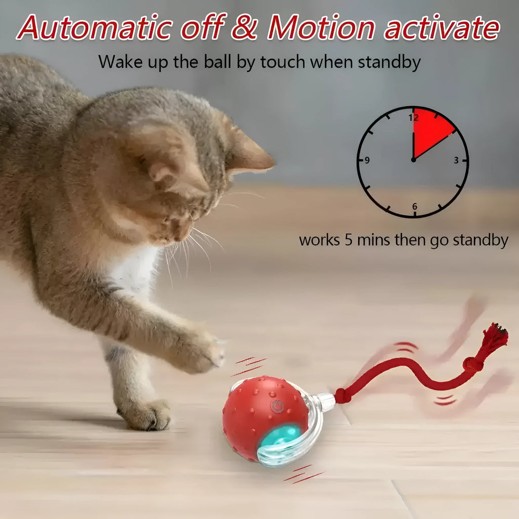 Blue interactive cat toy ball with LED light and bell for indoor feline entertainment