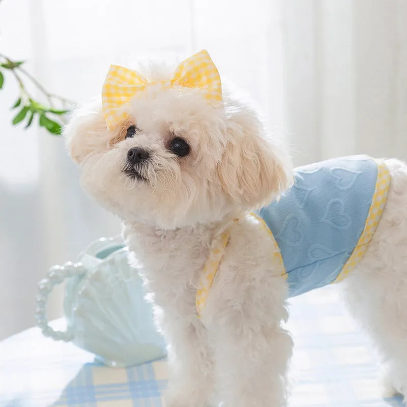 Small dog wearing a blue elastic vest with heart and bow details and adjustable suspenders.