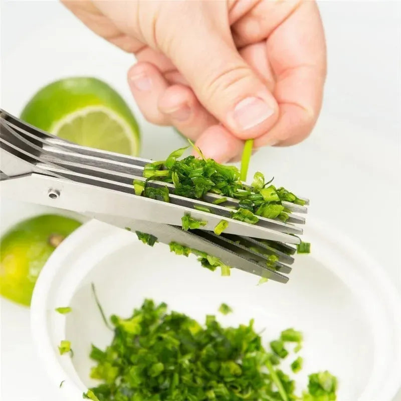 Stainless steel multi-layer onion scissors for cutting herbs and green onions.