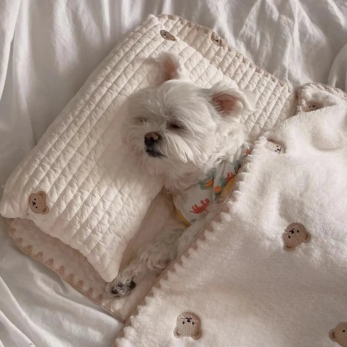 Bear design dog bed set showing pillow, mattress and quilt in soft polyester fabric