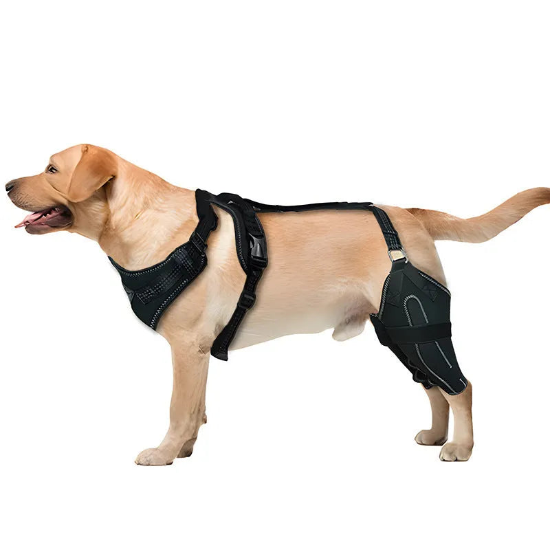 Black adjustable dog thigh protective sleeve with metal support components for post-operative recovery