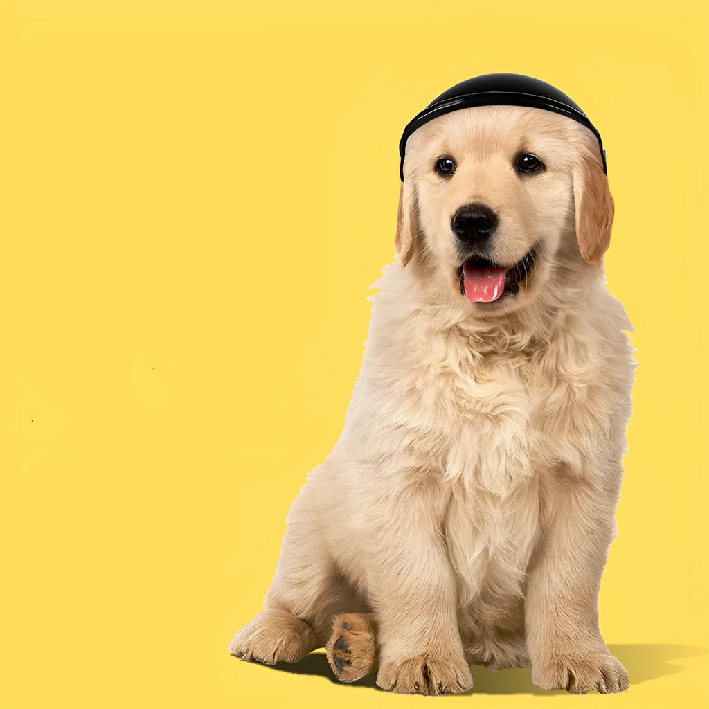 Small size S plastic pet safety helmet for motorcycles in a choice of four colours.