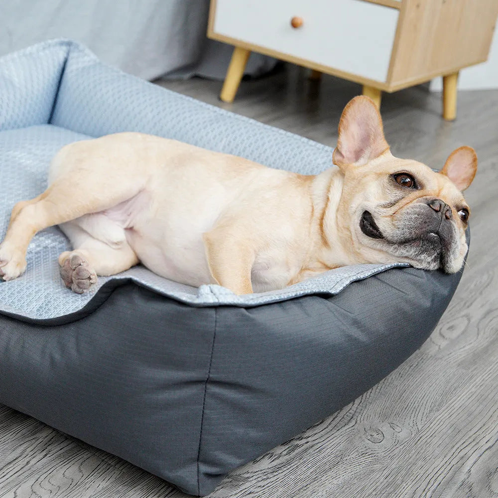 Soft dog bed with removable cover shown in three sizes for small to medium pets