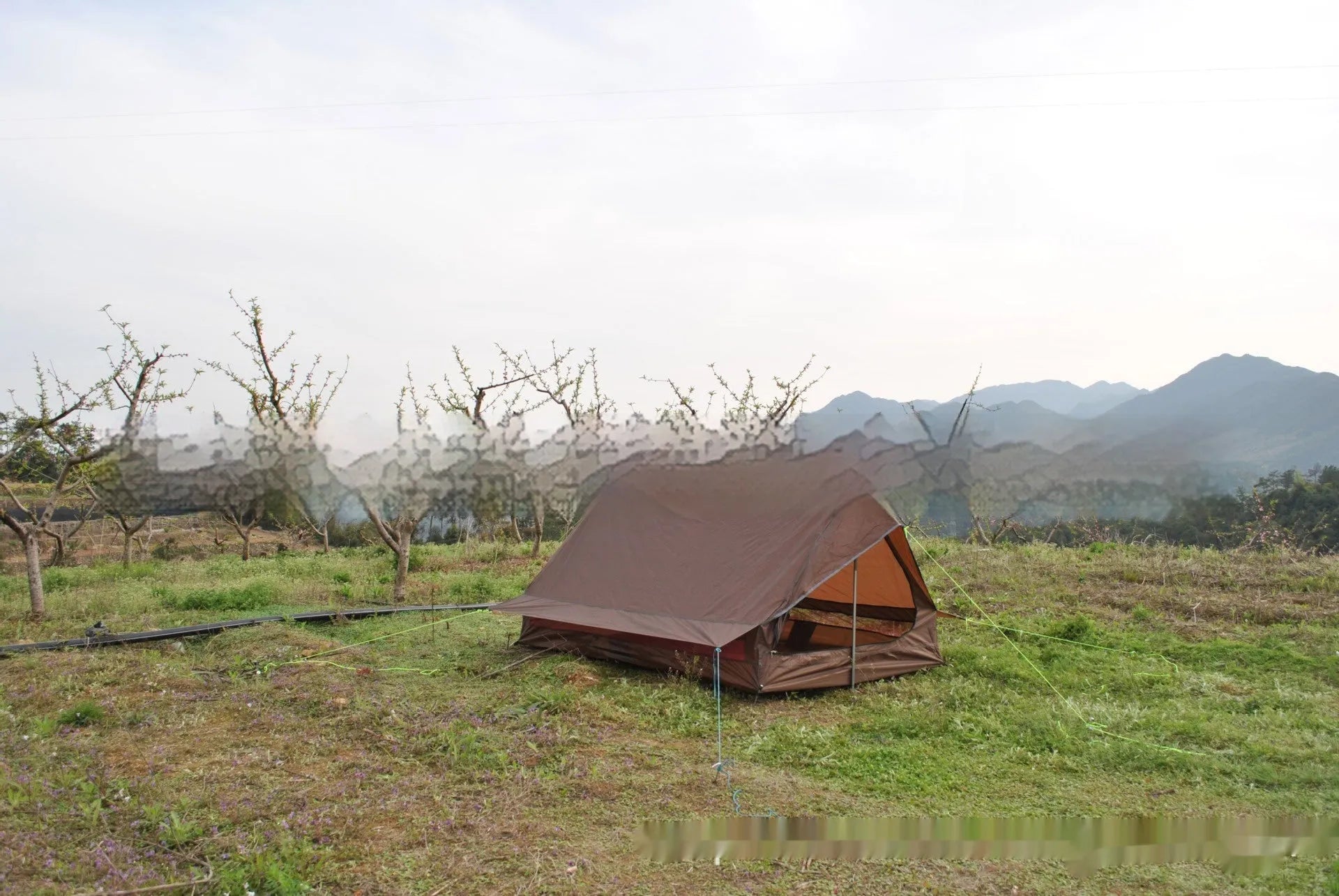 Brown A-line pole-free cabin tent pitched with hiking canes showing spacious interior dimensions