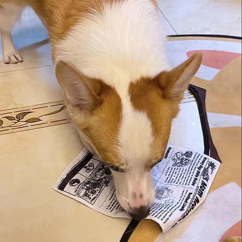 Tear-resistant dog sound toy with realistic newspaper design for small breed puppies