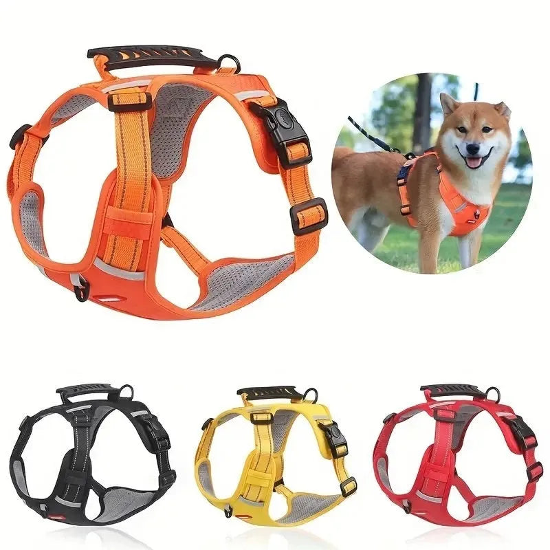 Adjustable polyester dog harness and lead in various colours with reflective trim, shown on size chart.