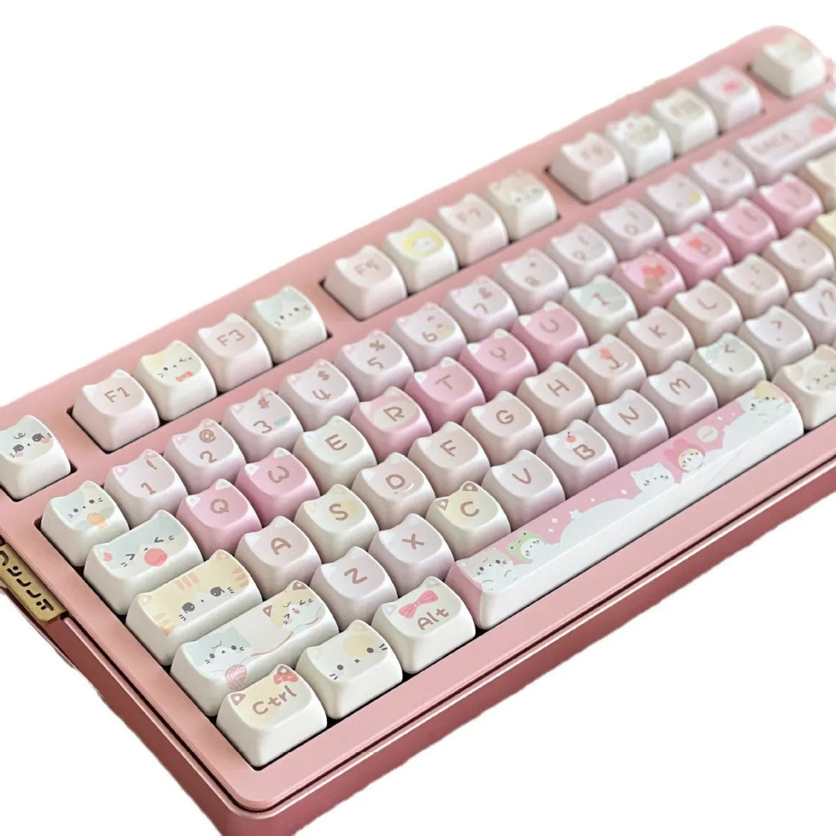 141-key mechanical keyboard keycap set with dye sublimation printing on five sides