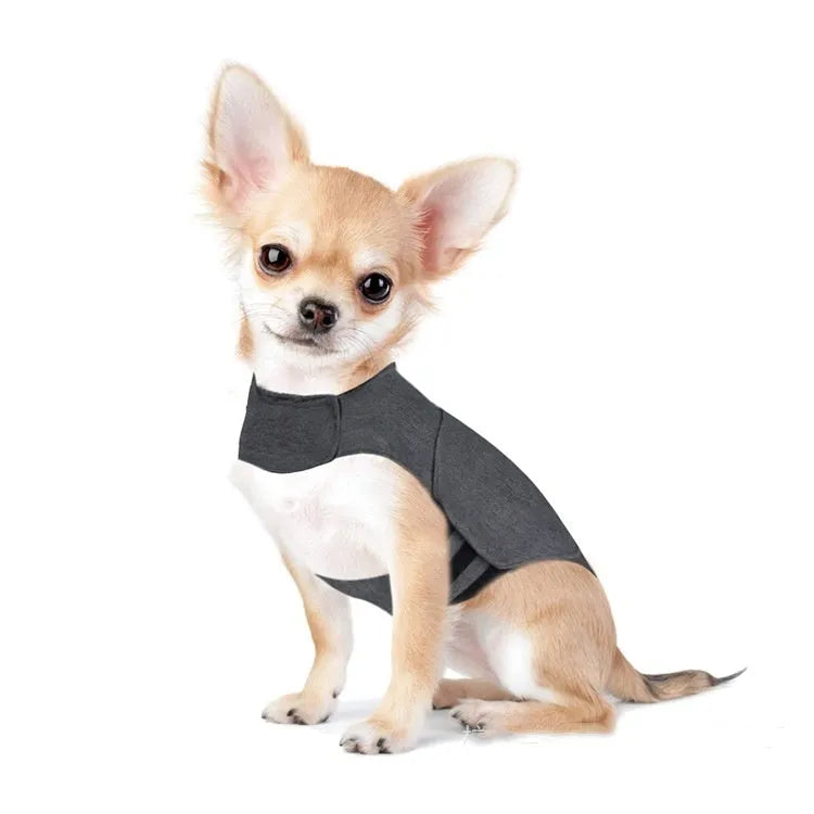 Heather grey dog anxiety jacket and warm vest made from polyester brocade fabric on a medium-sized dog.