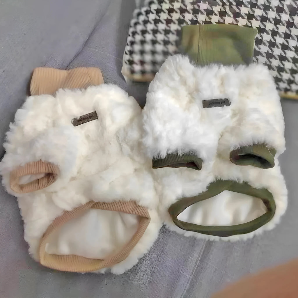 Creamy green plush dog coat with high turtleneck collar on a small dog.