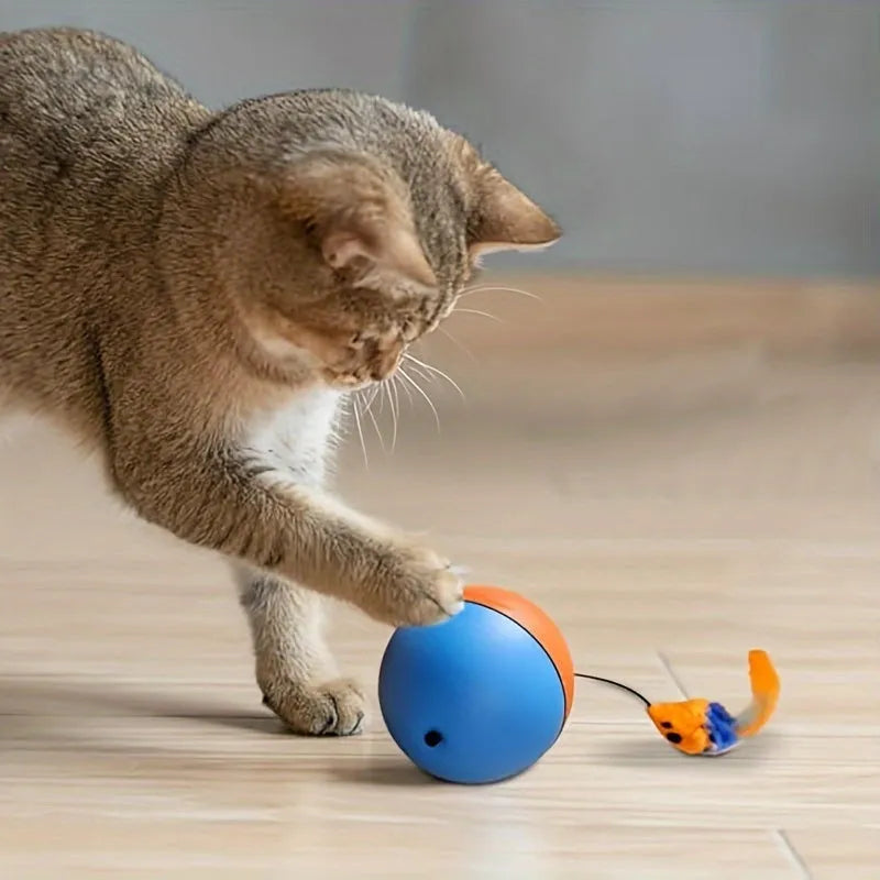 Orange and blue interactive motorised cat toy ball with a plush mouse inside, showing its compact size.