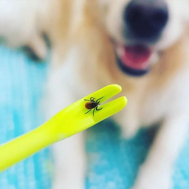 Three blue plastic tick removal hook tools for dogs and cats on a white background.