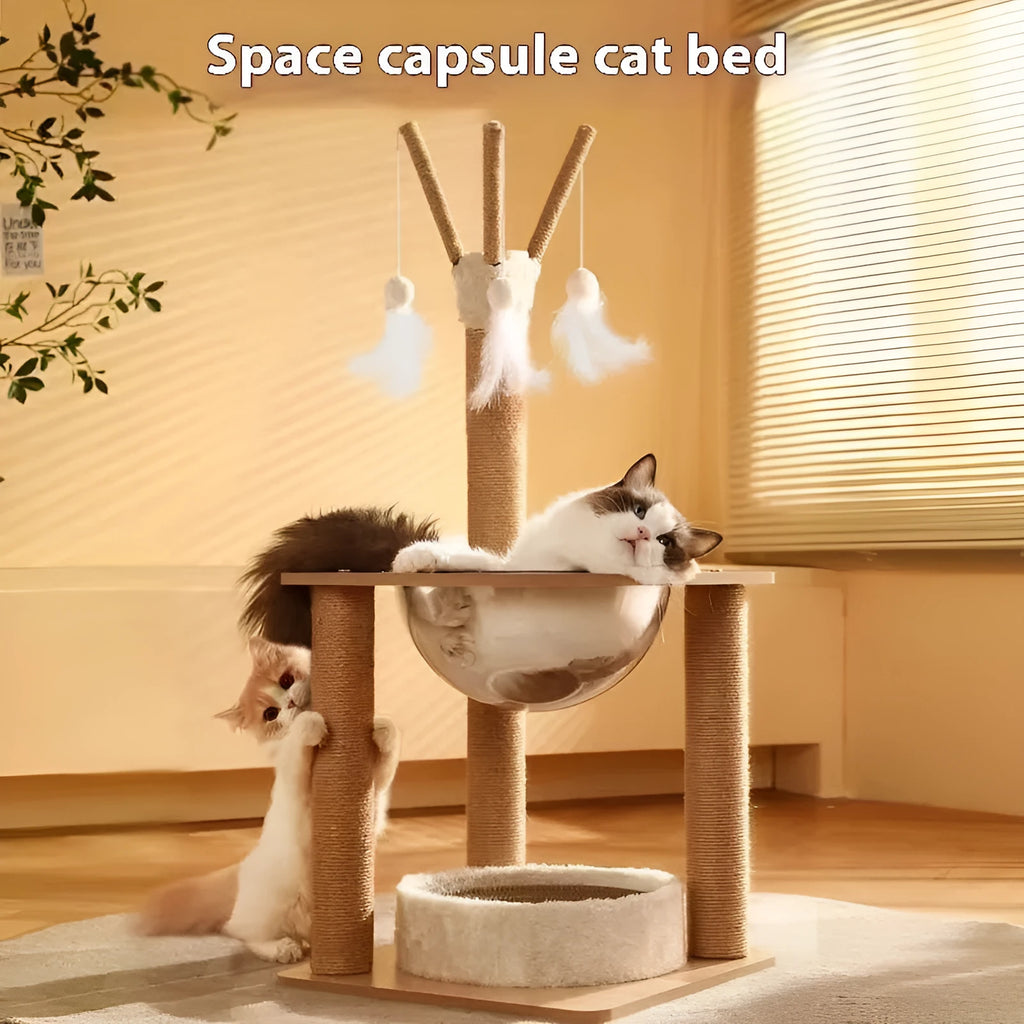 Wooden cat climbing frame with space capsule design in luxury colours
