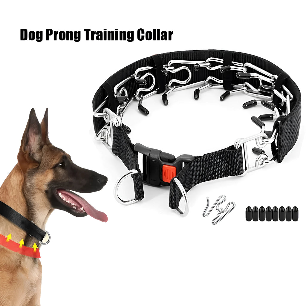 Dog training stimulation chain collar with stainless steel prongs on a padded nylon band.