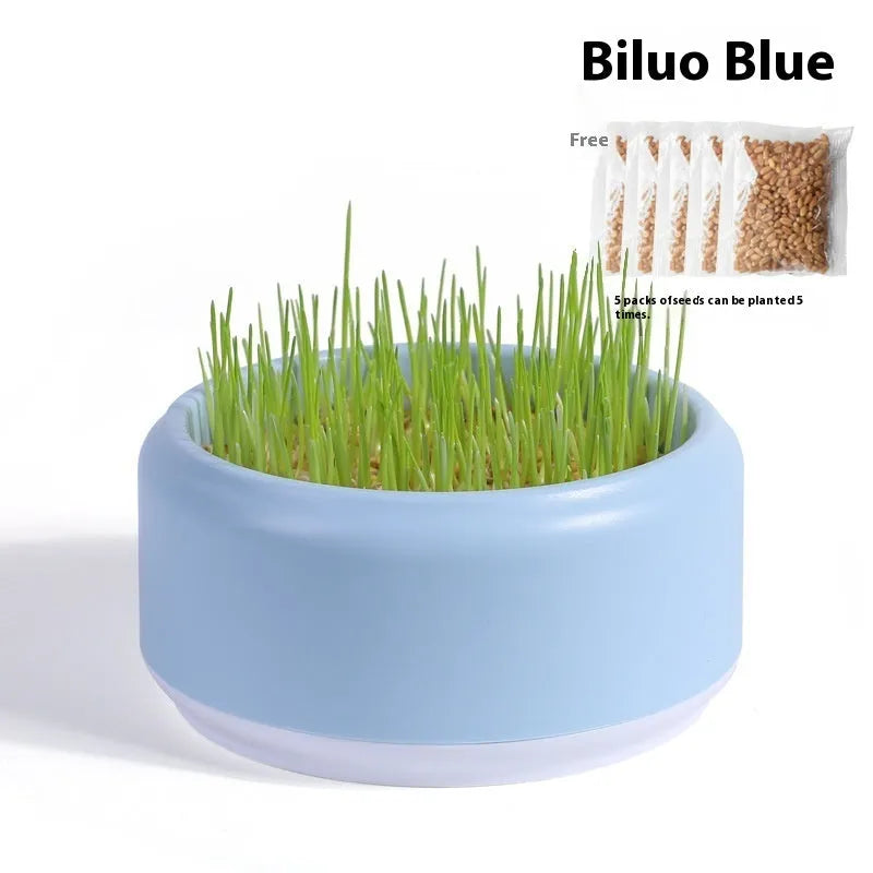 Blue, green, and yellow hydroponic cat grass planters with seed packs on a table.