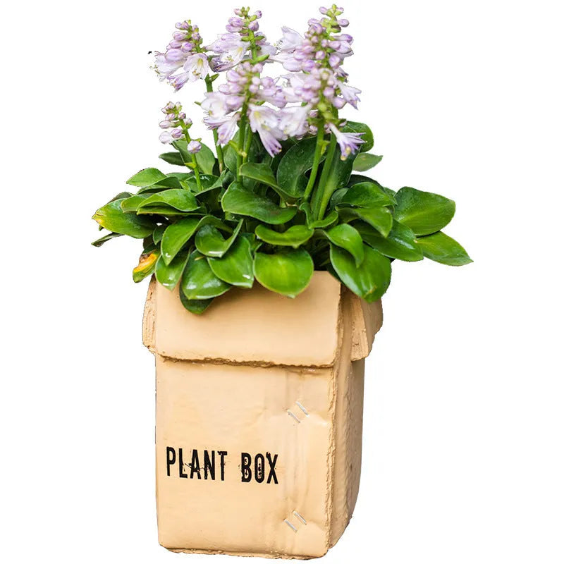 Cement brown paper box style flowerpot with bottom drainage holes for indoor plants