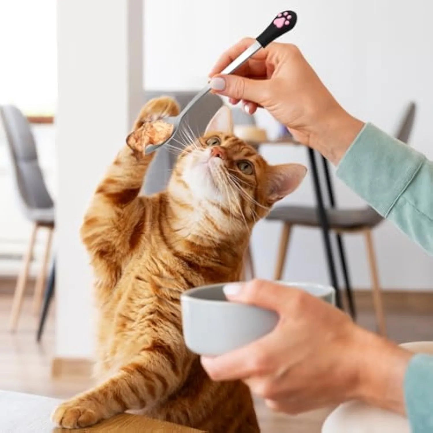 White and black stainless steel pet food spoons with cat paw print and silicone handle grips.