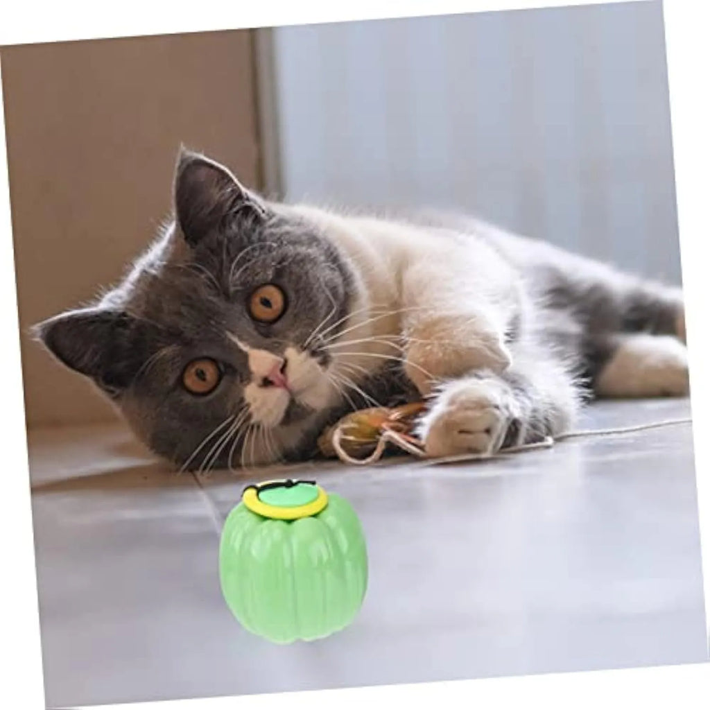 Pumpkin-shaped plastic dog chew toy with squeaker for small dogs in green, orange, yellow