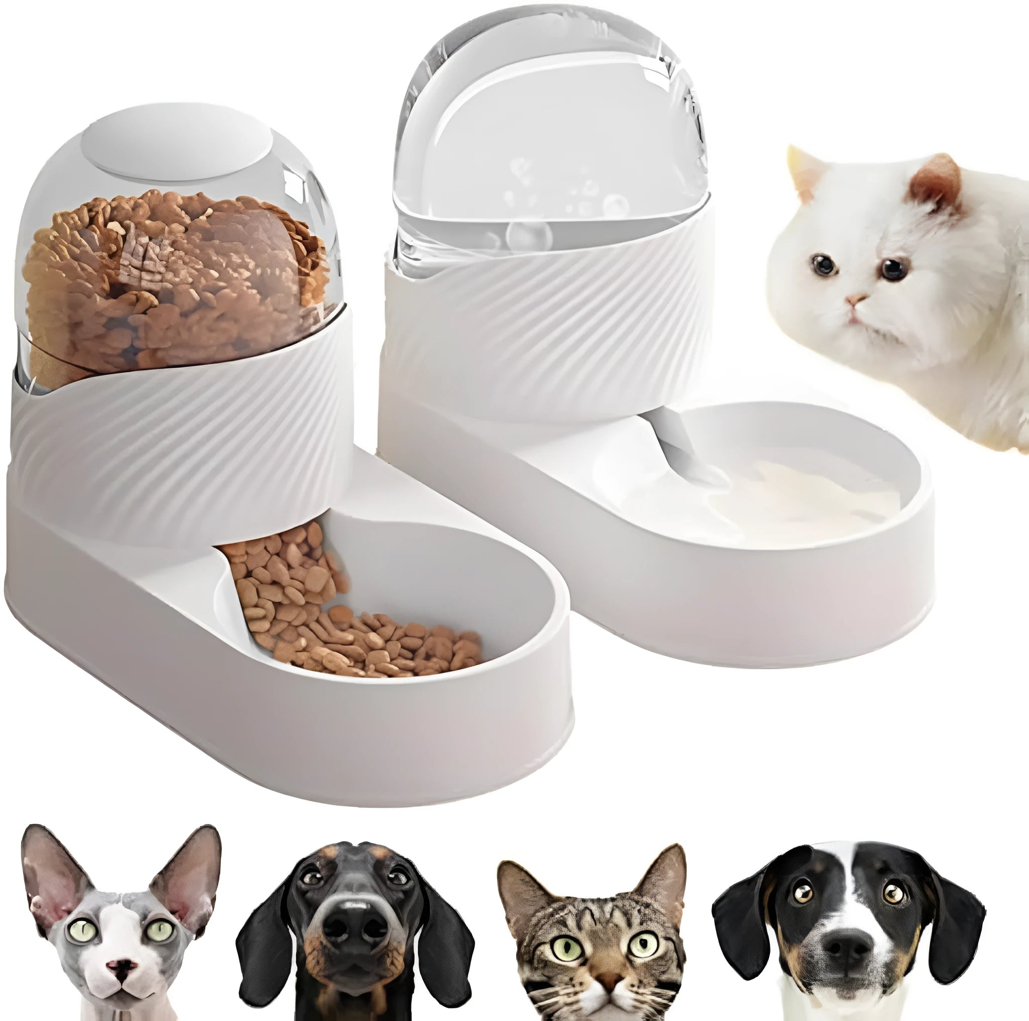 White automatic cat feeder and water dispenser set with wave-shaped design