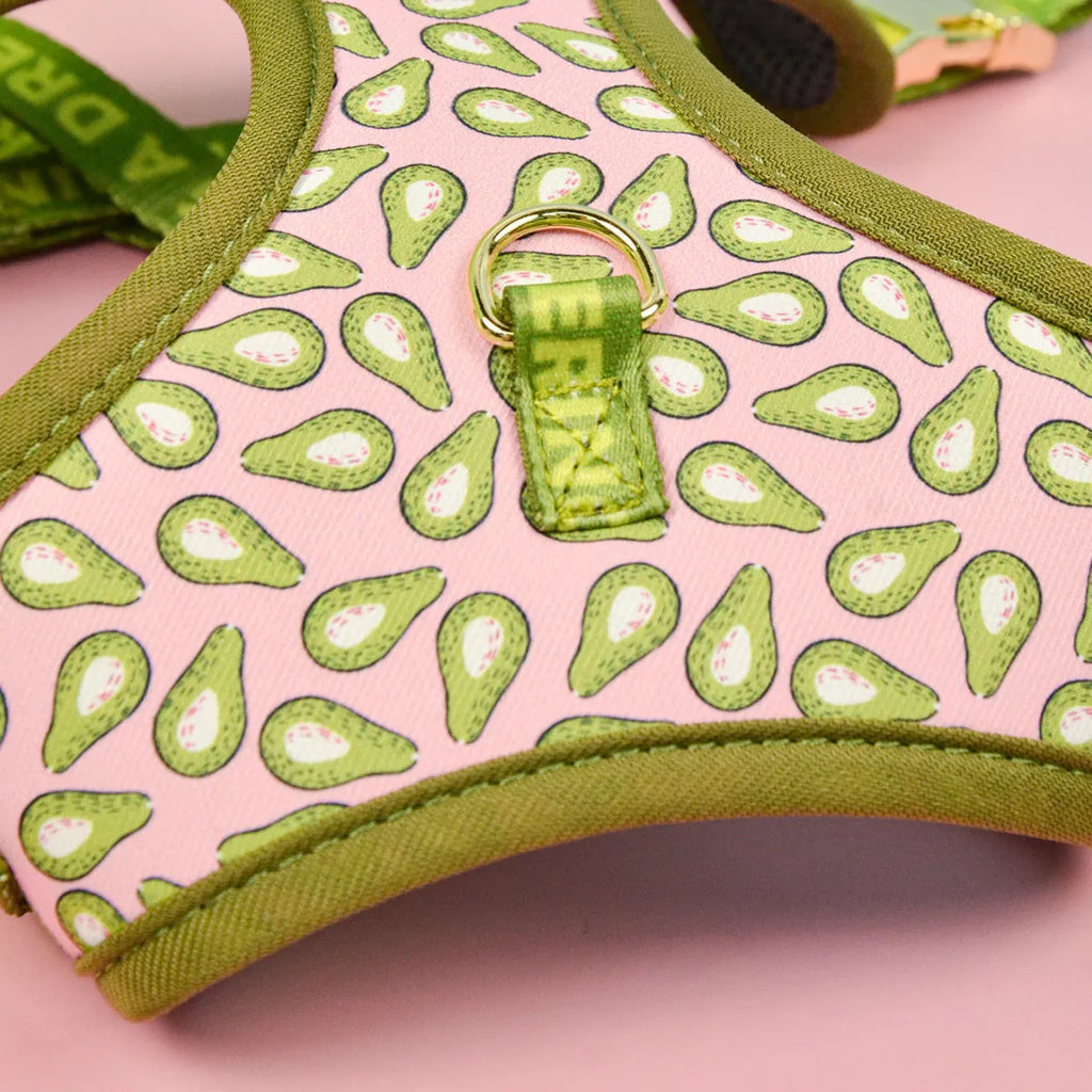 Pet harness and leash set with six colour patterns for medium and large dogs