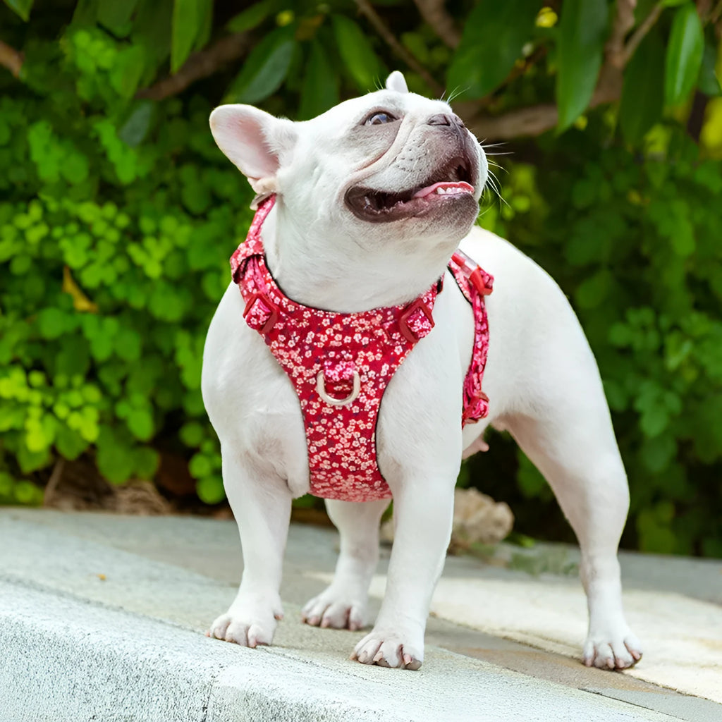 Floral pattern pure cotton pet chest harness for dog walking with pull-resistant strap