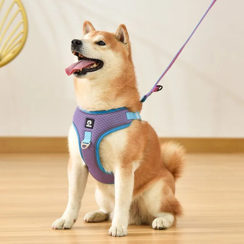 Adjustable mesh dog harness with leash in black colour showing reflective stitching details