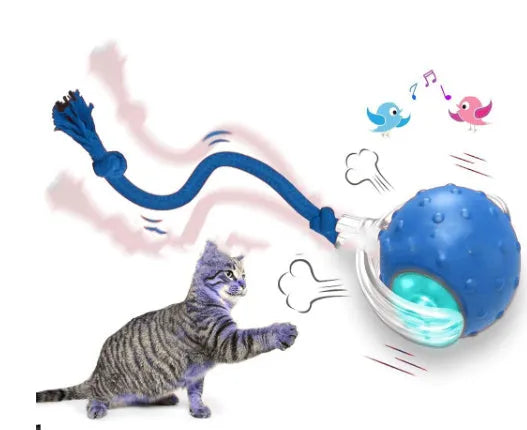 Blue interactive cat toy ball with LED light and bell for indoor feline entertainment
