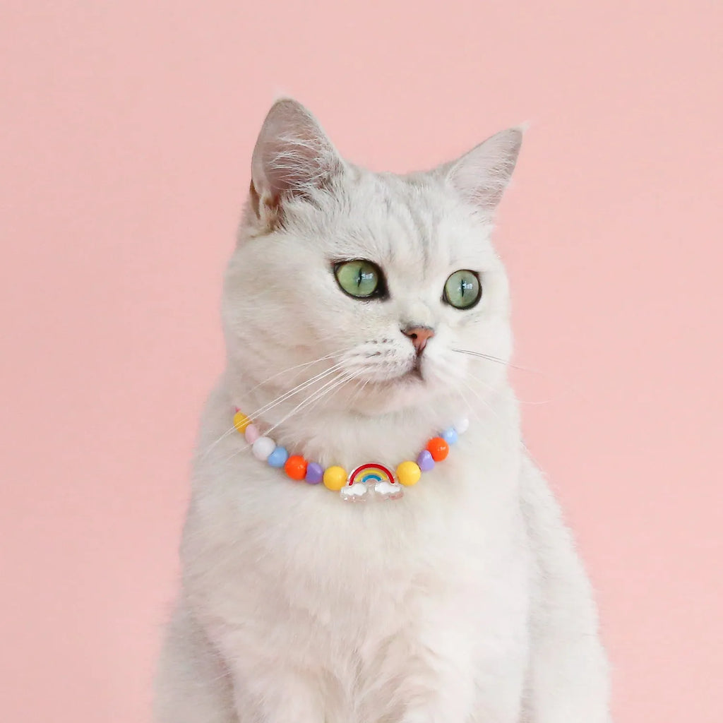 Colourful plastic bead pet necklace in peach, rainbow or small flower pattern with adjustable XS or S size options.