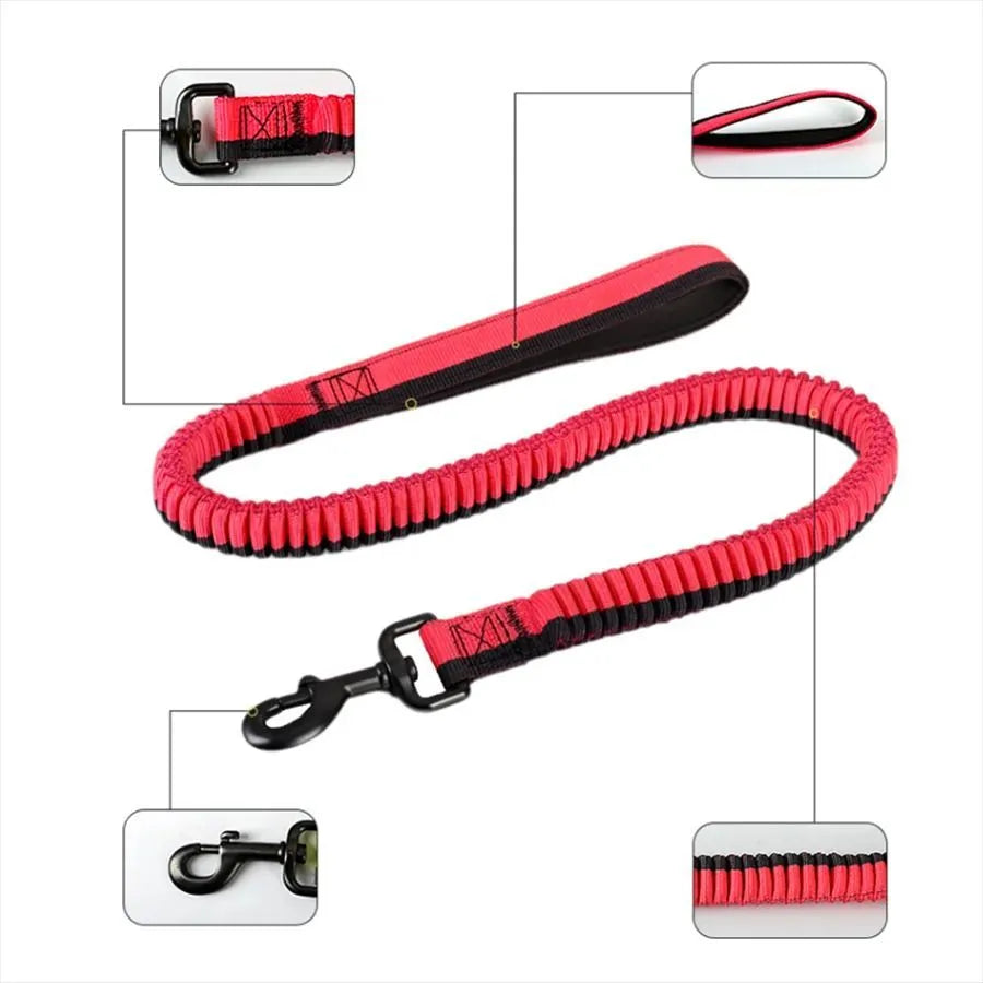 Heavy-duty elastic shock-resistant dog leash for medium and large breeds in multiple colours