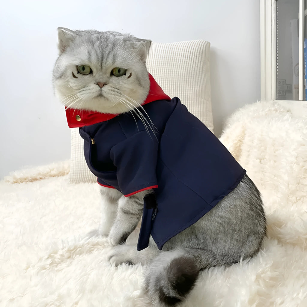 A pet hoodie costume in Polygonum cuspidatum Youren colour for cats and dogs, shown with its removable hood.