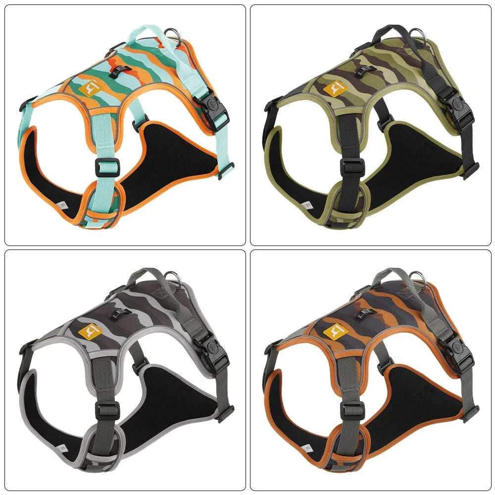 Reflective orange dog walking rope with chest and back harness held in hand