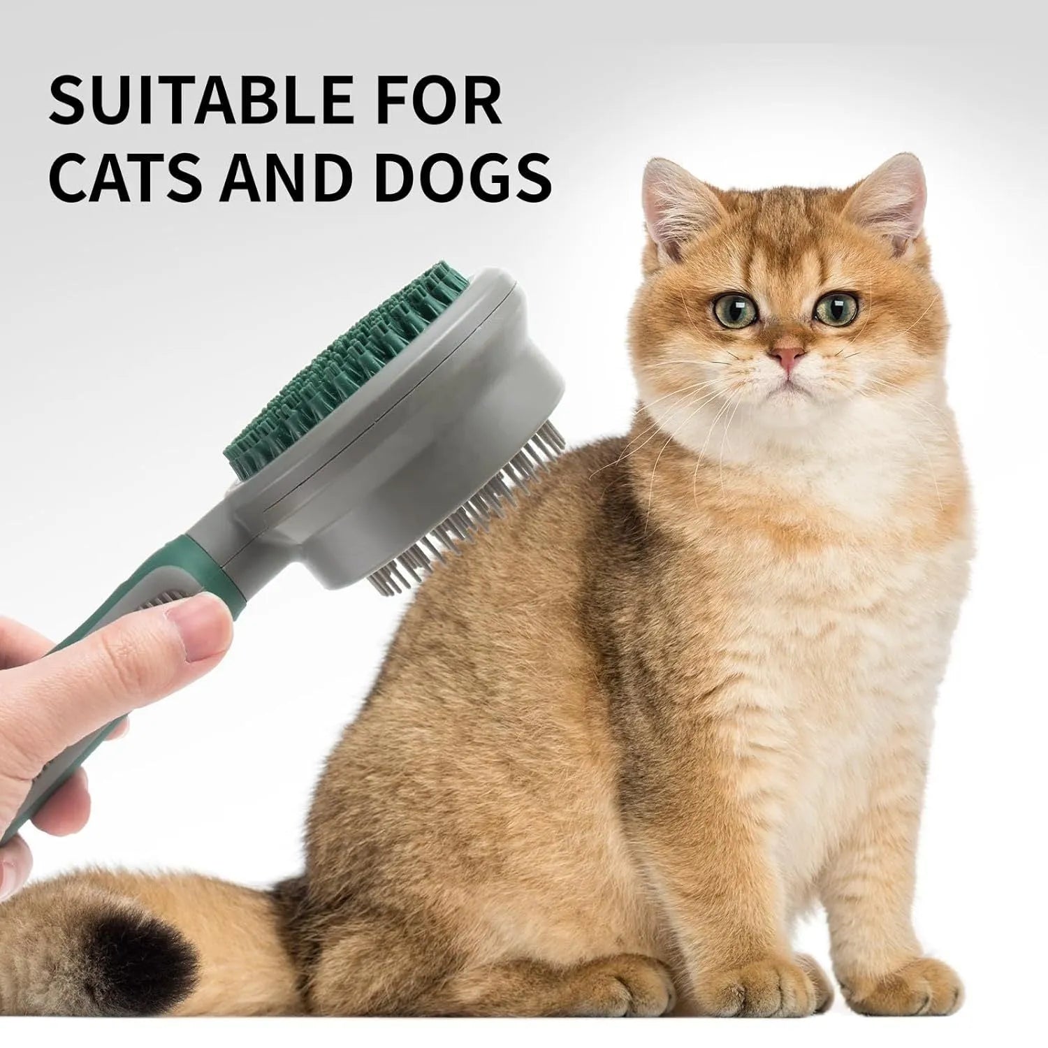 Green and pink two-sided silicone pet grooming brush with retractable slicker brush and octopus-teethed massager