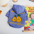 Blue and purple cartoon print cotton plush dog hoodie for winter wear.