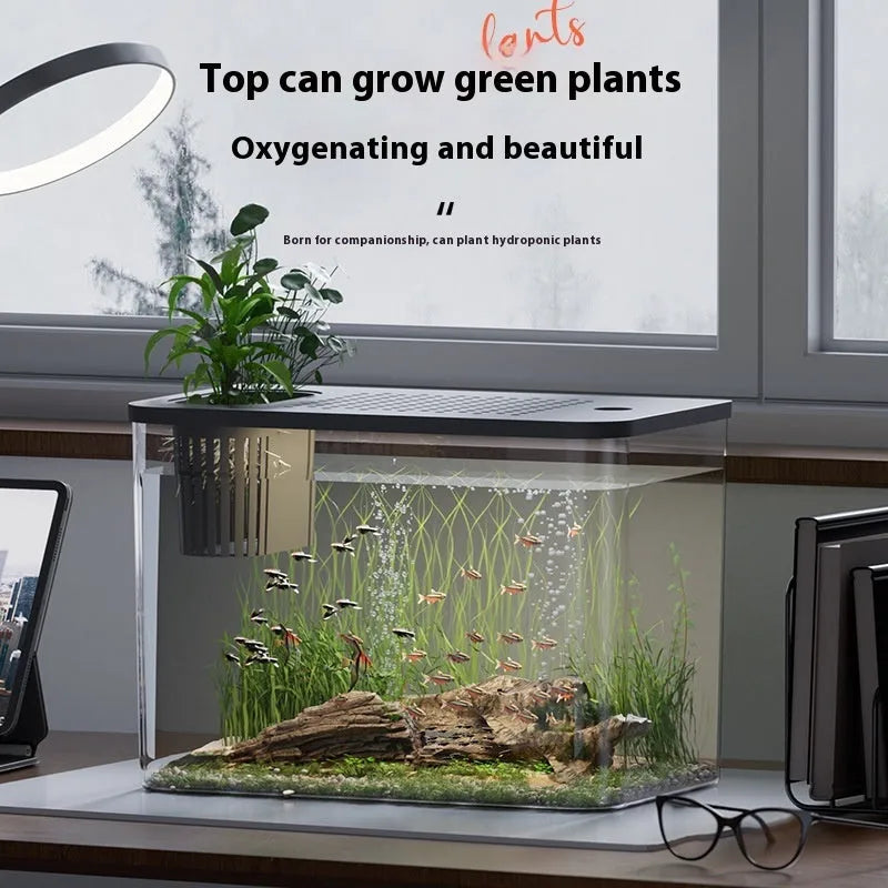 Small black plastic betta fish tank with lid, dimensions 32cm by 18.5cm by 23cm.