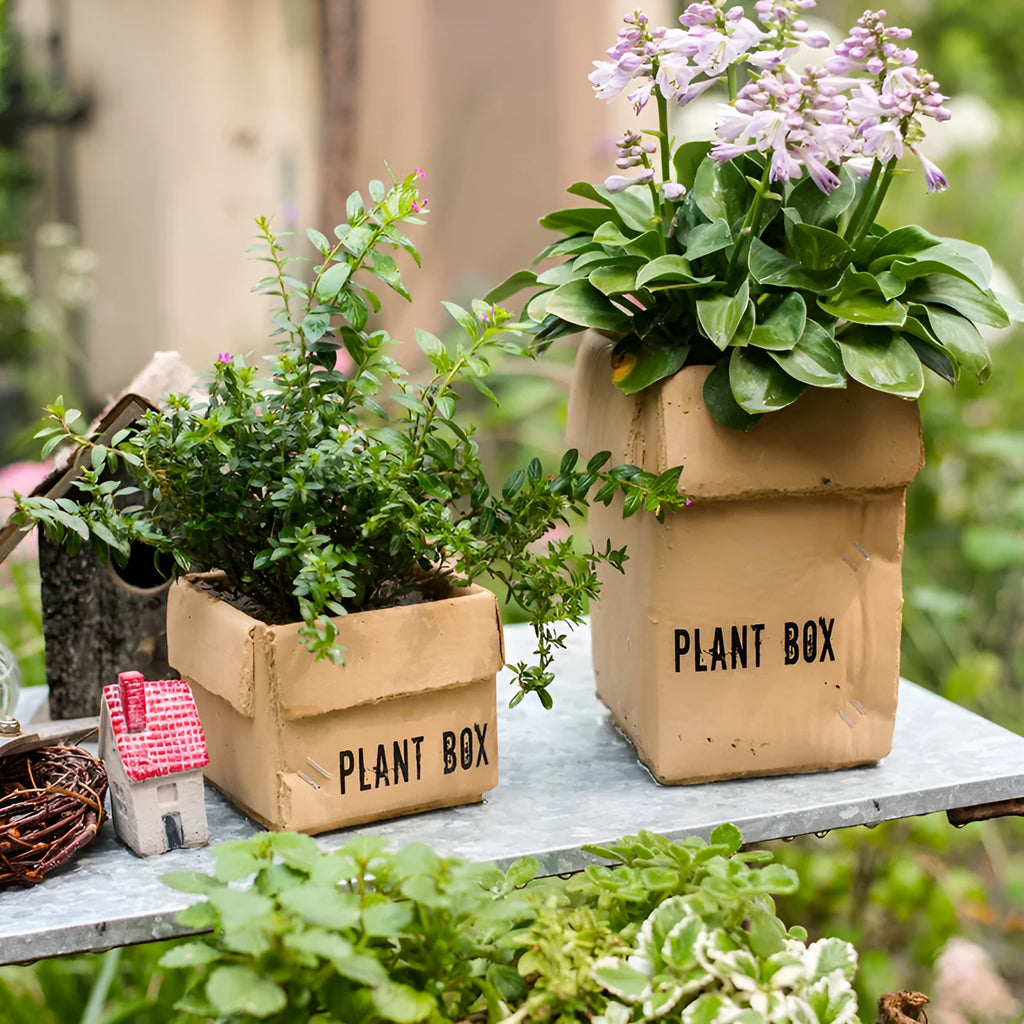 Cement brown paper box style flowerpot with bottom drainage holes for indoor plants