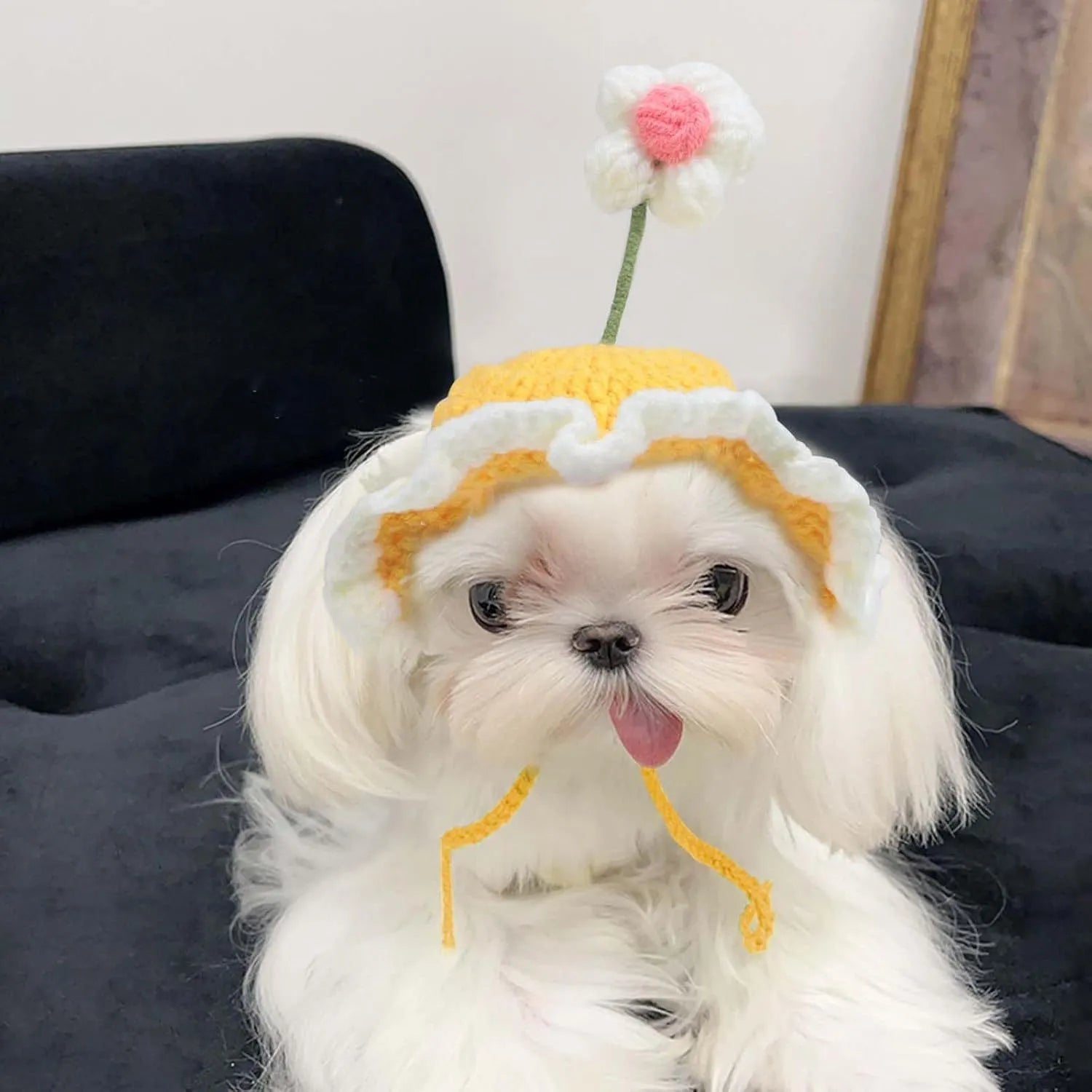 Knitted cartoon-style hat for a cat or small dog on a green background