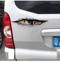 Tiger Eye or Eagle Eye 3D car bumper sticker measuring 10x35cm on vehicle door
