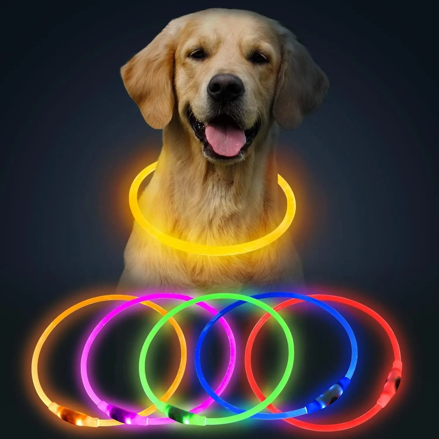 Blue USB rechargeable LED dog safety collar glowing with adjustable 70cm TPU band