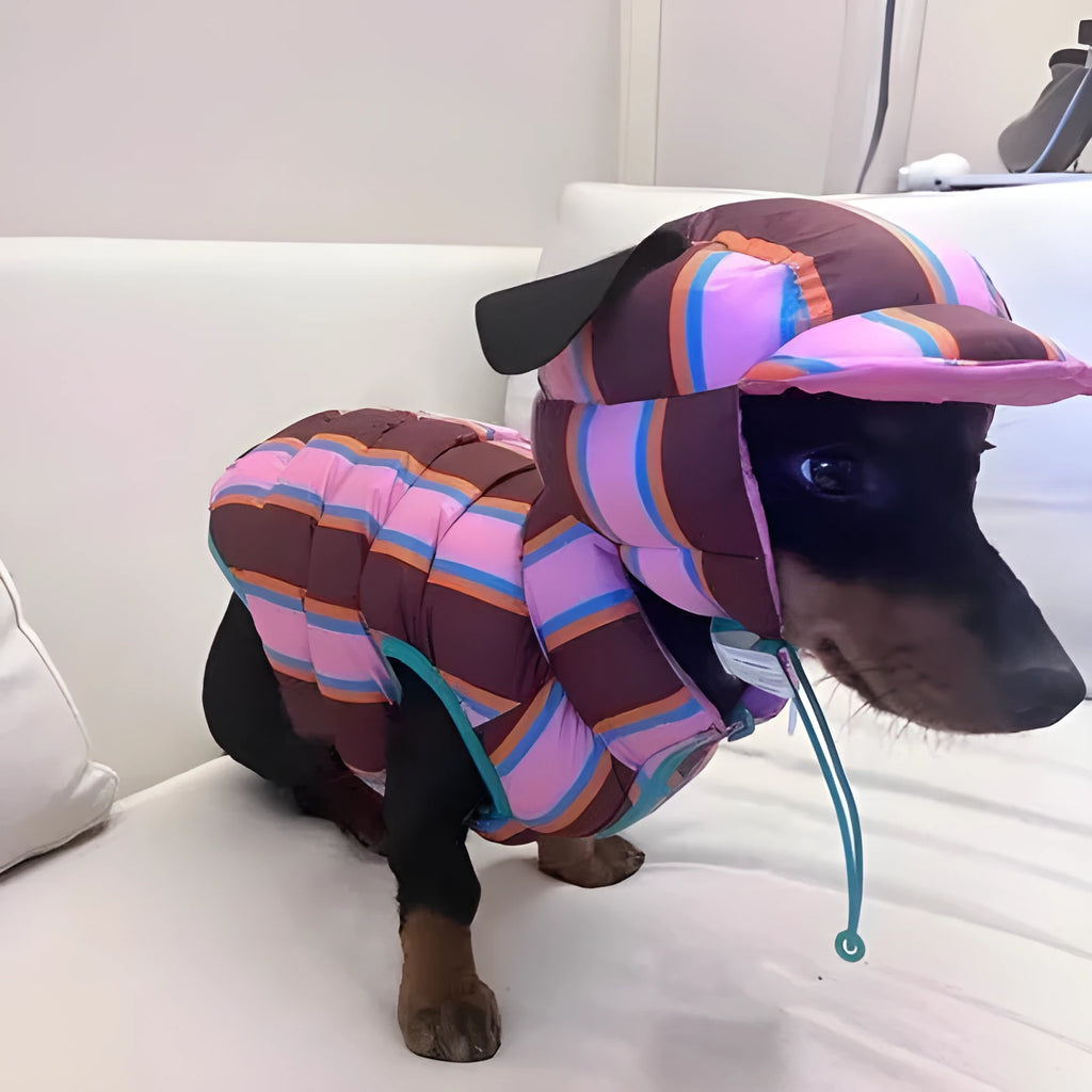 Dirty pink striped knitted vest and matching hat for a small dog on a grey background.