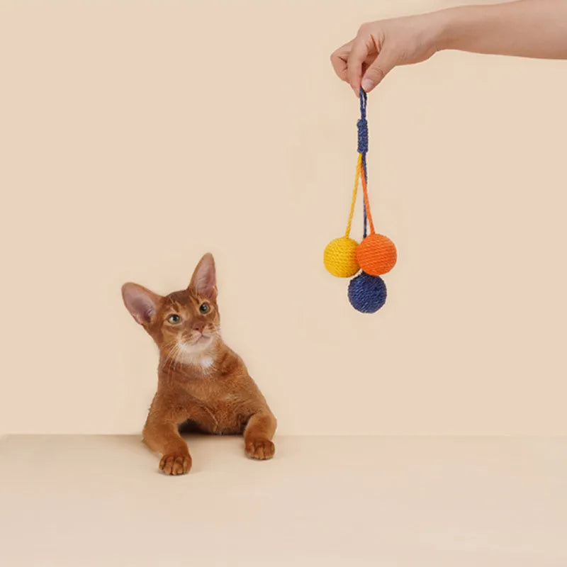 Bite-resistant cat toy set with teaser stick and catnip balls measuring 255mm