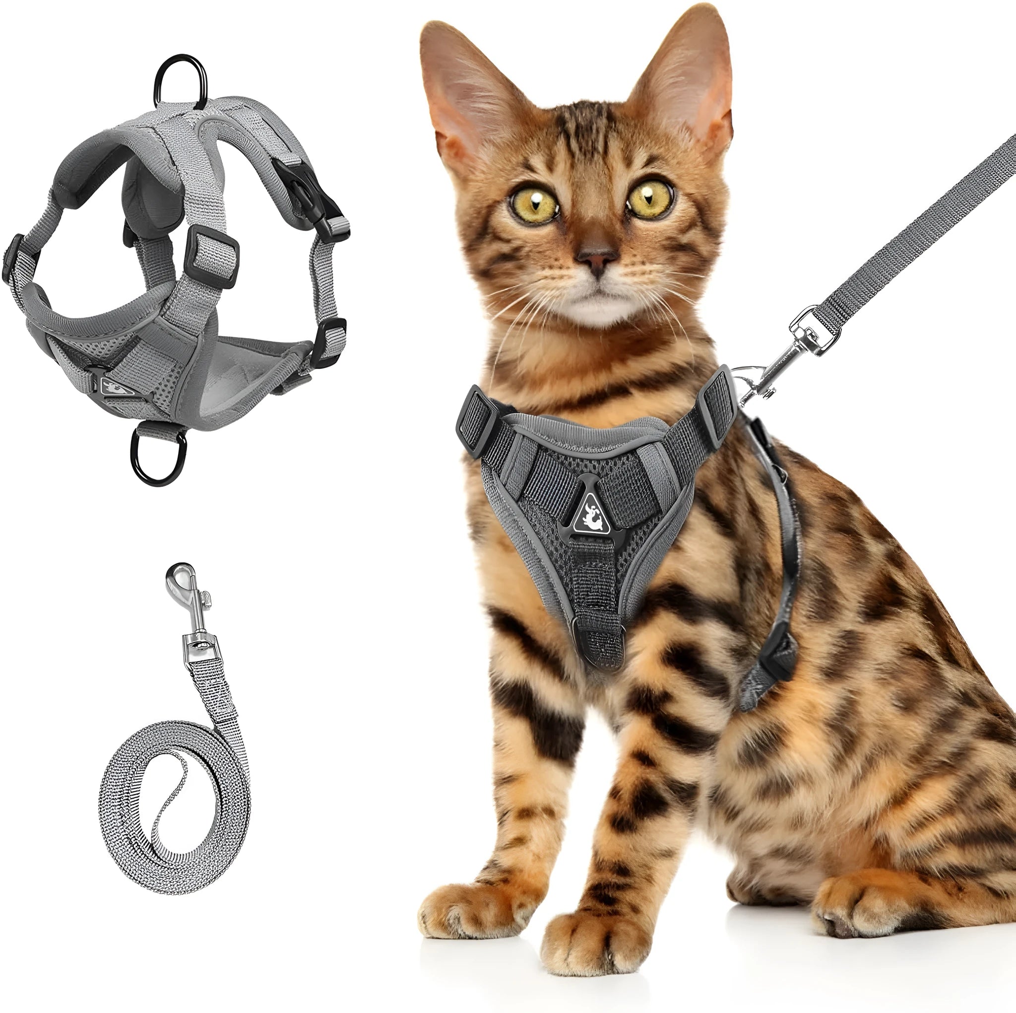 A blue mesh cat harness with adjustable straps and a leash, shown on a white background.