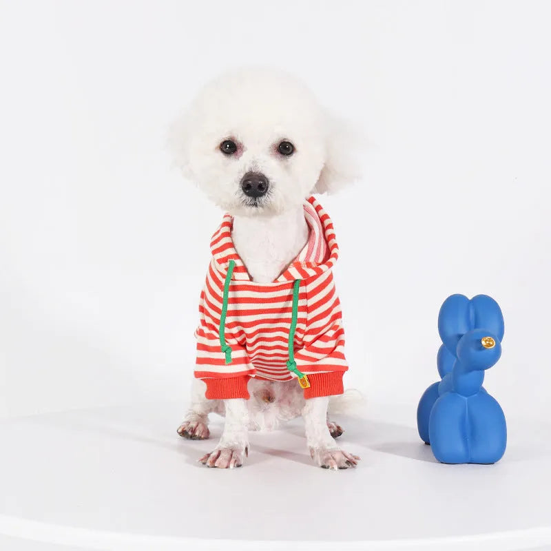 Orange cotton hooded sweater for dogs with Japanese style design